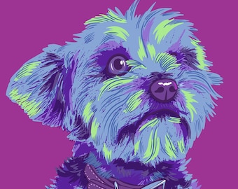 May include: A small, fluffy dog with blue and green fur, looking up with a curious expression. The dog is wearing a brown leather collar with a silver tag.