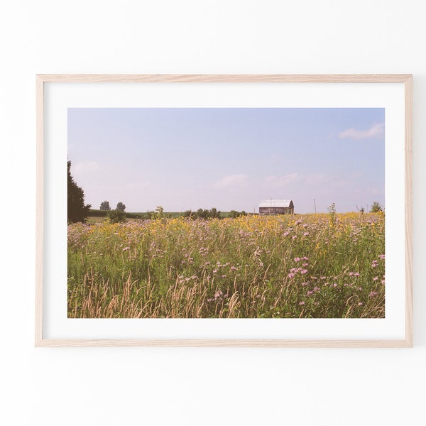 Rural Barn in a Meadow