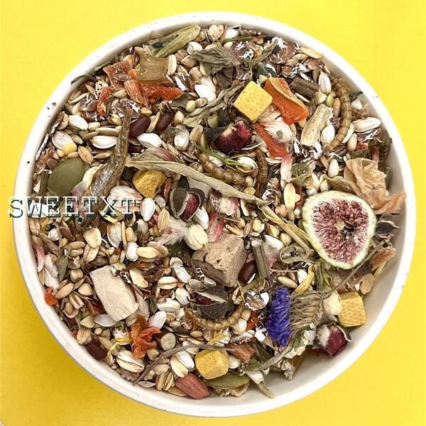 Chinese Dwarf Hamster Food Etsy