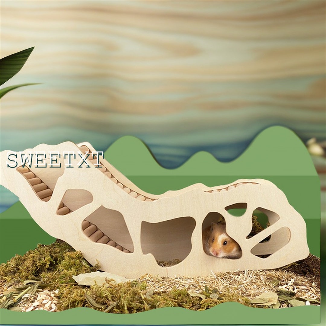 Subterranean Hamster Tunnel Large Hamster Watch Box Etsy