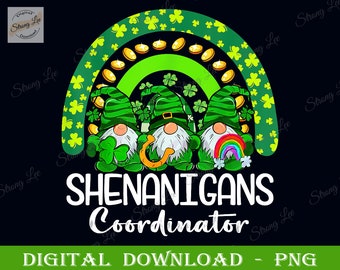 Gnomes Rainbow St Patrick's Day Png, Shenanigans Coordinator St Patrick's Day Png, St. Patrick's Day Sublimation Png, Gnomes Coordinator Png