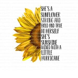 Sunflower Sunshine Mixed with a Little Hurricane