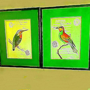 Pair of Vintage framed Bird prints to brighten your walls. Kingfisher and European Bee Eater.  French Carte Postale version.  Good condition