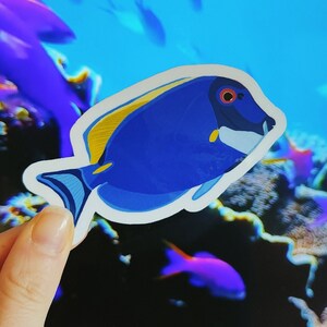 Può includere: Un adesivo a forma di pesce blu con dettagli gialli e bianchi. L'adesivo presenta un'illustrazione stilizzata di un pesce con un bordo bianco. Lo sfondo mostra una scena sottomarina con altri pesci e coralli.