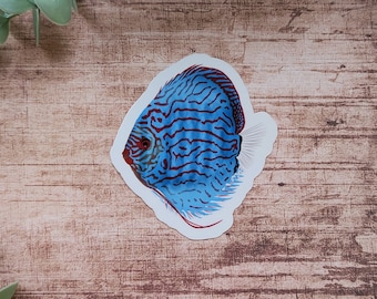 Discus Fish Vinyl Sticker