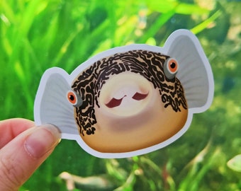 Pegatinas de pez globo Mbu / Peces tropicales dibujados a mano, pegatinas acuáticas