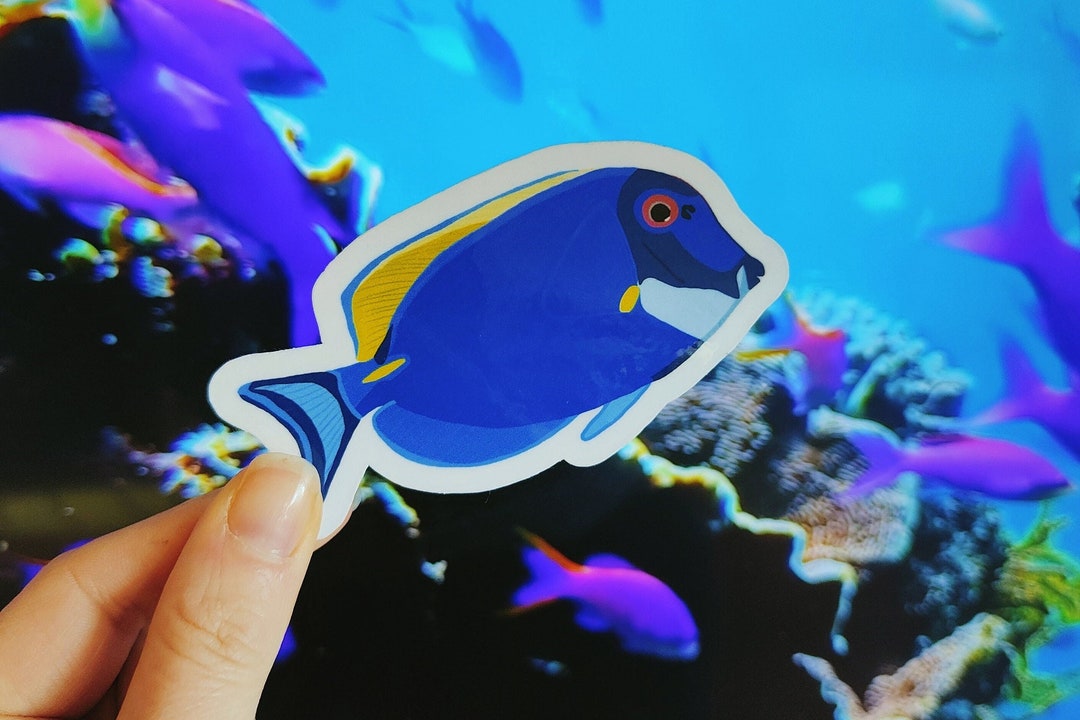 Tang Ina Mu Sticker Powder Blue Tang Hand Drawn Tropical Fish Sticker | Handmade Aquatic ...