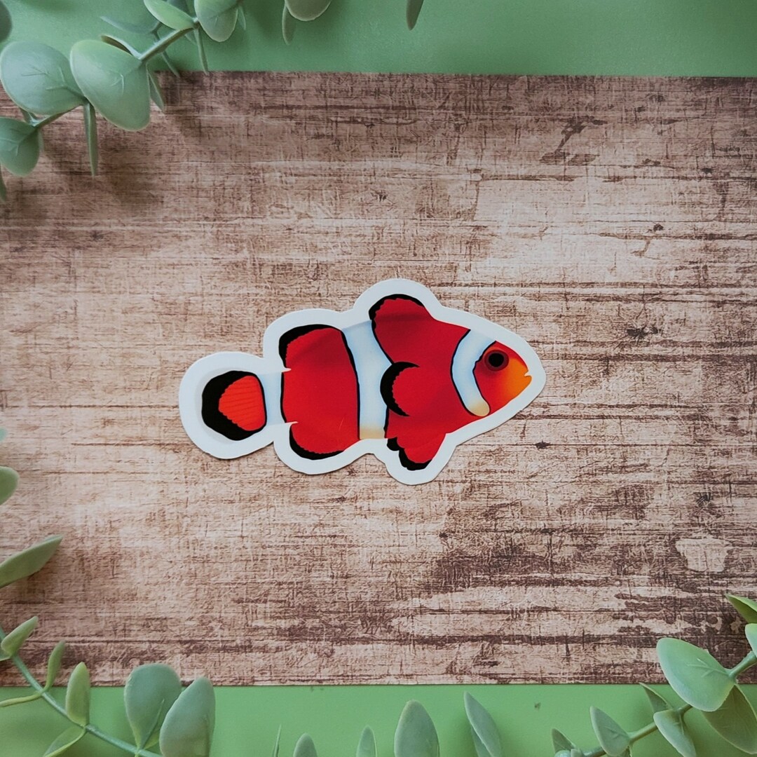 Clownfish Sticker | Hand-drawn Tropical Fish Vinyl Decal - Etsy