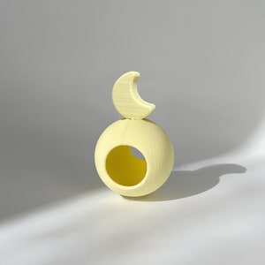 GUMMYHOUSE &#39;Baby Moon&#39; hide - Jumping Spider Hide - (Arboreal)