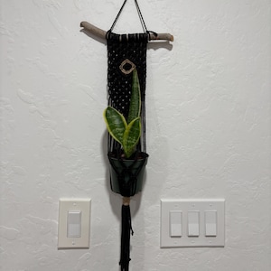 May include: A black macrame plant hanger suspended from a horizontal piece of driftwood. The hanger features a knotted cord design, a small circular accent, and a black plastic pot containing a green and yellow snake plant with a long tassel.