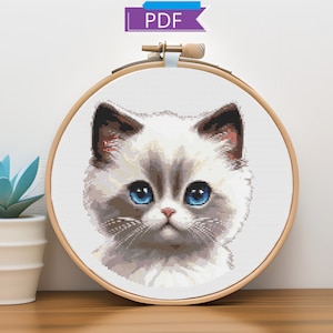 May include: Cross stitch pattern of a white kitten with blue eyes. The kitten is looking directly at the viewer. The pattern is in a hoop.