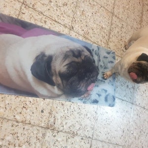 May include: A pug dog with a black muzzle and cream-colored fur lies on a rectangular mat with a pug image. Another pug stands nearby, also with a black muzzle and cream fur, its tongue sticking out.