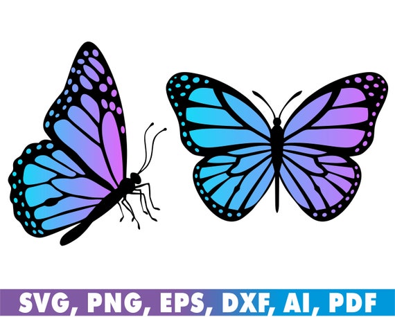 2 Light Blue Pink Purple Black Layered Butterflies SVG, Butterfly