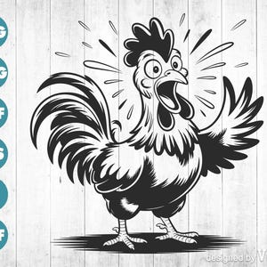 Cartoon Birds SVG, Frazzled Bird Clipart, Cute Bird Silhouette, Cricut Cut File, Colorful Bird Png Dxf EPS Pdf, Instant Digital Download