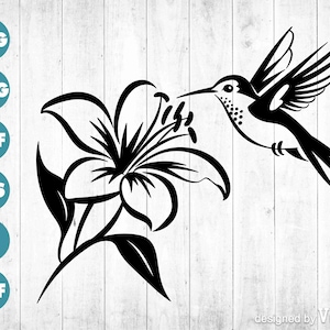 Puede incluir: Dibujo lineal en blanco y negro de un colibrí acercándose a una flor de lirio. El colibrí está representado en vuelo, con detalles en las alas y el cuerpo. El lirio está en plena floración. La imagen incluye iconos de tipo de archivo: SVG, PNG, PDF, EPS, AI y DXF.