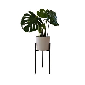 Może przedstawiać: Roślina monstera w doniczce z dużymi, zielonymi liśćmi stoi na czarnym metalowym stojaku na rośliny. Doniczka jest biała i okrągła.