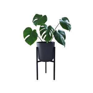 Może przedstawiać: Roślina Monstera w doniczce z dużymi, zielonymi liśćmi stoi na czarnym metalowym stojaku na rośliny. Stojak ma okrągłą podstawę i trzy nogi.