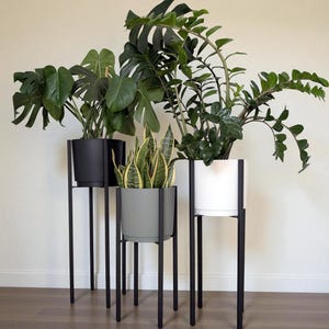 Op de afbeelding: Drie kamerplanten in zwarte, grijze en witte potten op hoge, zwarte metalen standaards. De planten omvatten een Monstera, een slangengras en een ZZ-plant. De standaards hebben een minimalistisch ontwerp, met vier poten en een vierkante pottenhouder.