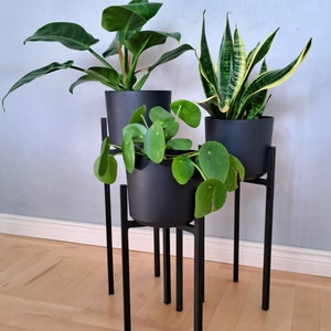 Op de afbeelding: Drie zwarte plantenstandaards met drie potplanten. De planten zijn een slangplant, een vredeslelie en een monstera. De standaards zijn van metaal en hebben een eenvoudig ontwerp.