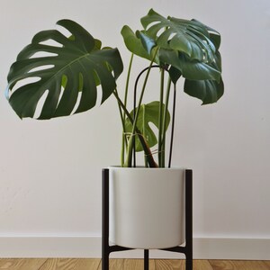 Doppelseitiger Indoor-Pflanzenständer Schwarzes Metall, für 20-30cm Topfgröße, stilvolle Heimdekoration, modern, Eleganz, Loft Bild 2