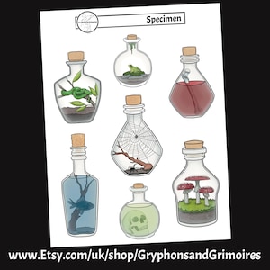 May include: Seven glass bottles with cork stoppers, each containing a different specimen. The bottles are labeled "Specimen". The specimens include a green frog, a snake, a spider, a skull, mushrooms, a fish, and a bone.