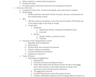 Notas del sistema tegumentario