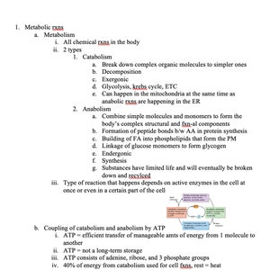 Metabolism and Nutrition Notes