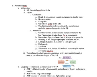 Notas sobre metabolismo y nutrición