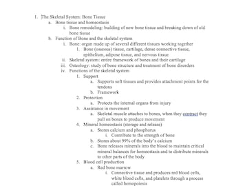 Sistema esquelético, Notas de las articulaciones