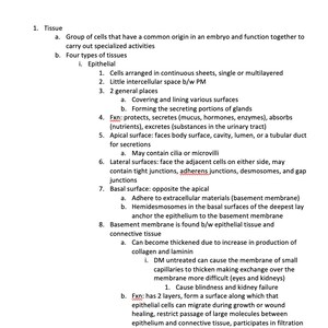 Puede incluir: Un diagrama en blanco y negro con texto que explica las diferentes partes del tejido epitelial. El diagrama muestra la superficie apical, la superficie lateral y la superficie basal del tejido.