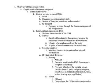 Notas COMPLETAS sobre el sistema nervioso