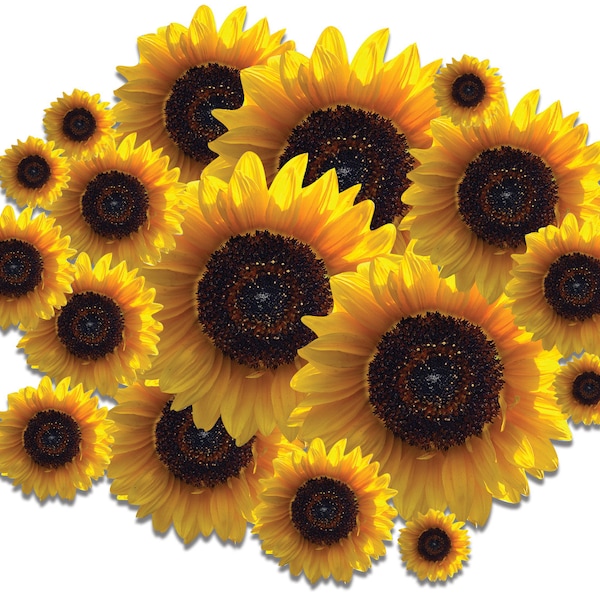 Sunflower Sticker Pack, Internal or External, Car, Laptop, Home