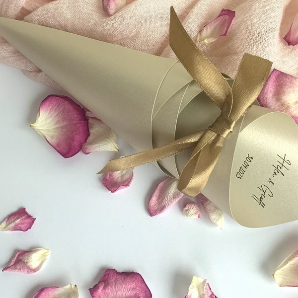 Personalized Wedding Confetti Cones and Biodegradable Confetti | Set of 10 | Luxe Paper Design | Subtle Shimmer | Handcrafted | Style #31