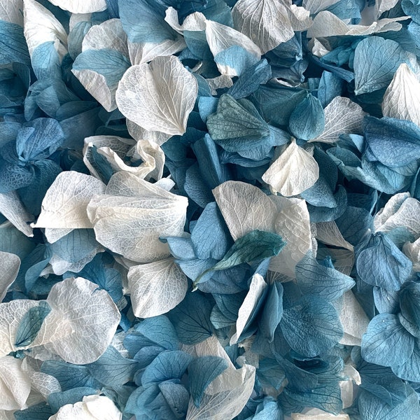 Ocean Breeze Confetti | Biodegradable Wedding Confetti Packets Set of 10 | Natural Confetti | Petal Toss | Wedding Exit | Hochzeit Konfetti