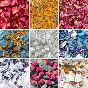 Coriandoli naturali biodegradabili / Coriandoli di fiori veri / Lancio di petali / Petali di fiori secchi per l'uscita dal matrimonio / Blütenkonfetti