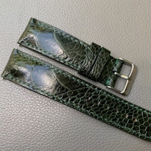 Può includere: Un paio di cinturini per orologio in pelle di lucertola verde con fibbia argentata. I cinturini sono cuciti con filo verde.