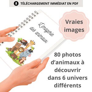 Imagier Animaux Réalistes | 80 Photos à Imprimer | Apprentissage Vocabulaire Enfant PDF