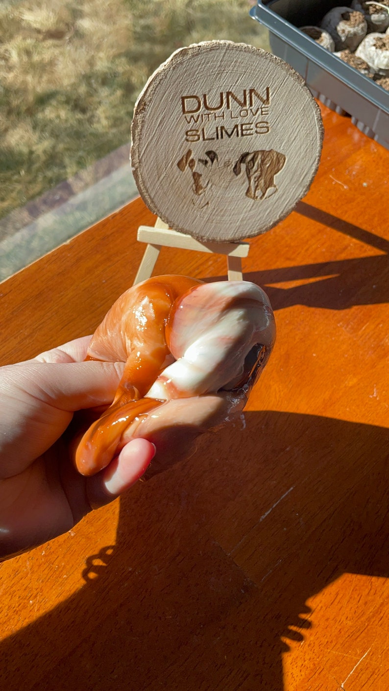 May include: A brown and white slime with a swirl pattern is being held in a hand. A wooden sign with the text "Dunn with Love Slimes" is in the background.