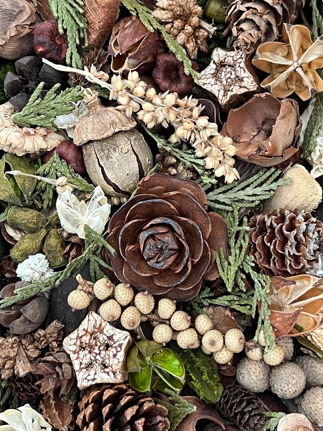 Warm Rustic Woods Potpourri. Beautiful Array of Woodland Botanicals in