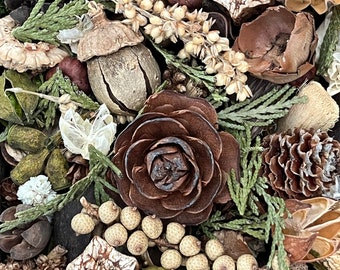 Warm Rustic Woods Potpourri. Beautiful array of woodland botanicals in shades of green, browns and cream. New larger bag sizes!! 6oz & 9 oz.