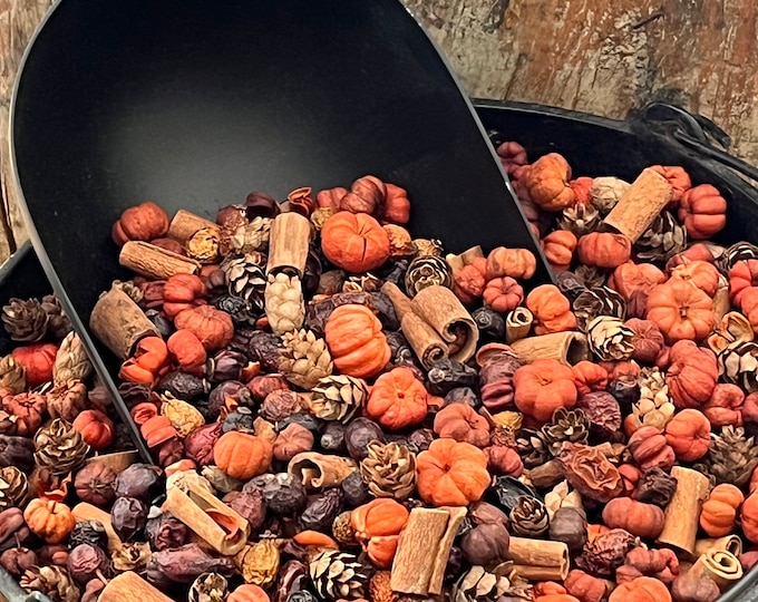 Pumpkin Patch Potpourri, Bowl or Vase Filler. Fall Mix of Mini Pumpkin Putka Pods, Mini