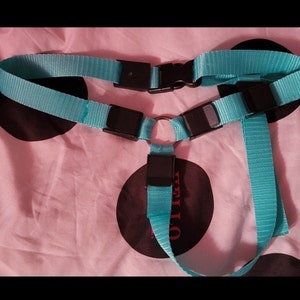 May include: A turquoise blue adjustable dog harness with a metal ring and black buckles.