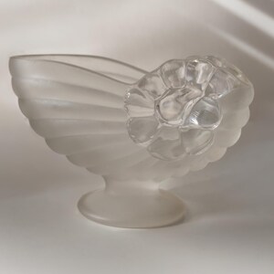 Nautilus Shell Vase