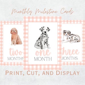 Cartes d'étape mensuelles imprimables aquarelle chiot - téléchargement immédiat | Cartes jalons bébé fille | Chiot Aquarelle