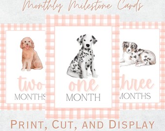 Printable Watercolor Puppy Monthly Milestone Cards - Instant Download | Baby Girl Milestone Cards | Watercolor Puppy