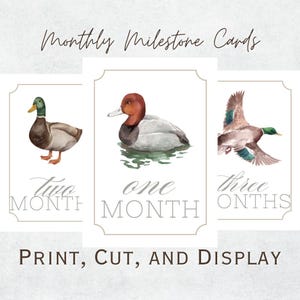 Watercolor Mallard Printable Monthly Milestone Cards - Instant Download | Duck Milestone Cards
