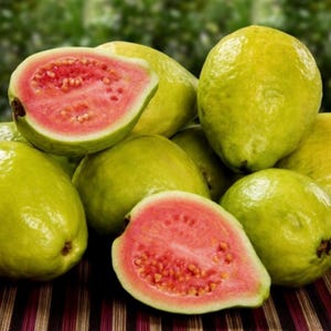 Lemon Guava Fruit Tree Seeds / Hawaiian Guava Exotic Fruit -  Grown Organically in California