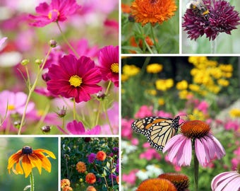 Wildflower Seed Mix, Custom Blended PREMIUM Pollinator Seeds for Hummingbirds, Native Bees, Butterflies, and Beneficial Bugs