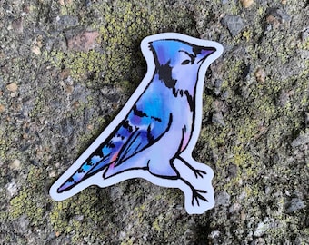 Blauhäher Sticker