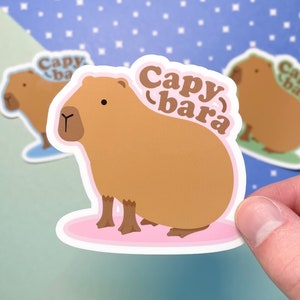Capybara 3 Inch Sticker! Cute Colourful Pink Green Blue Vinyl Decals, Glossy and Water resistant. Unique Gift for Capybara and Animal Lovers